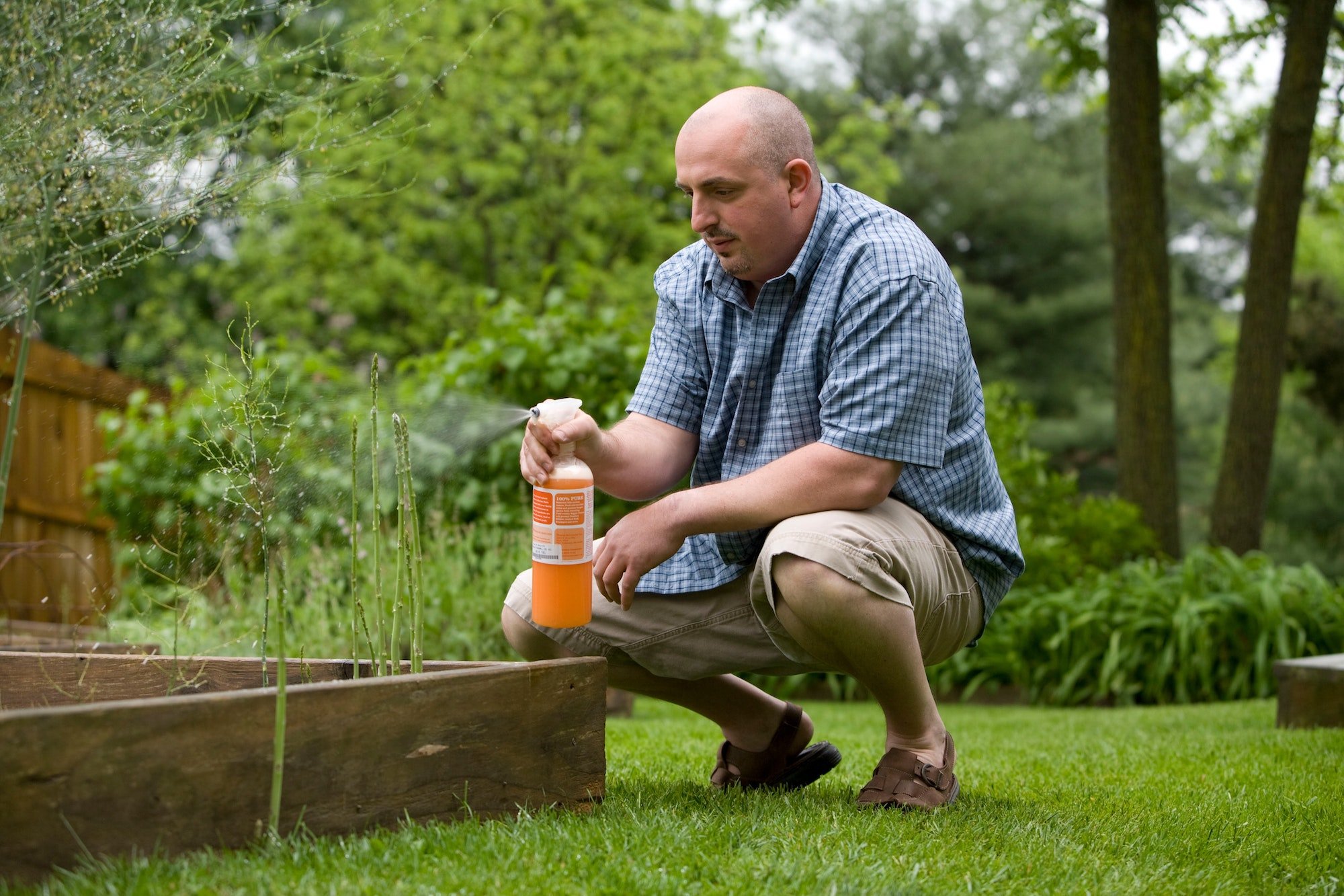 Should You Be Considering Non Toxic Pest Control?