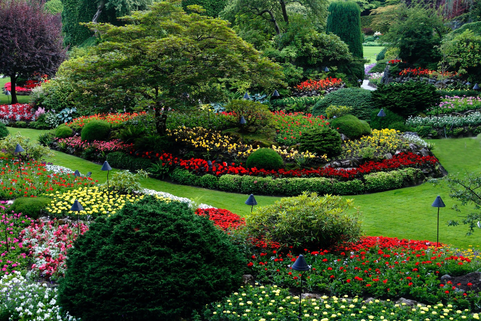 What To Consider When Landscaping Your Garden